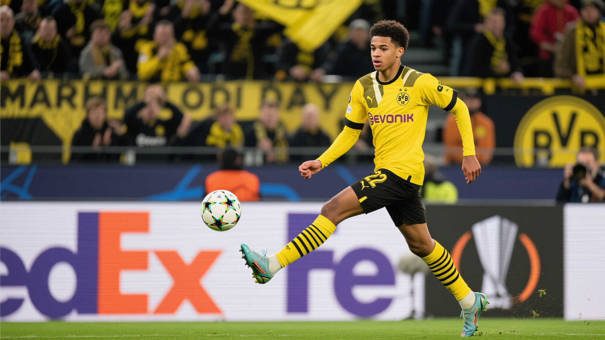 关于开云Kaiyun体育